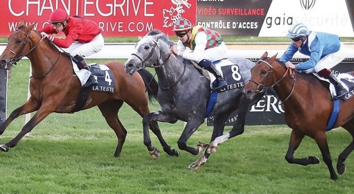 3 خيول تتنافس على كأس الوثبة في فرنسا