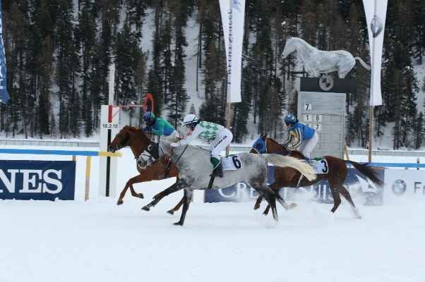 فارسة ألمانية بطلة سباق الخيول العربية الأصيلة على الجليد