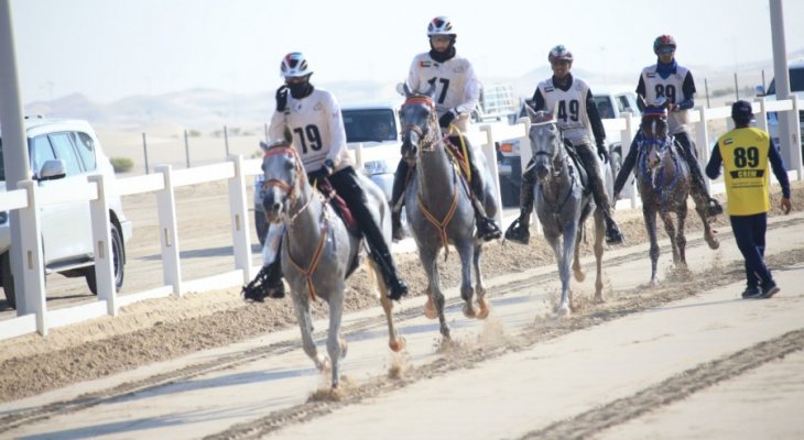 حاكم دبي يرعى سباقات &quot;تحدّي الوثبة&quot; للخيول العربية الأصيلة