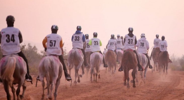 ميادين الامارات تستضيف سباق القدرة للخيول العربية الأصيلة